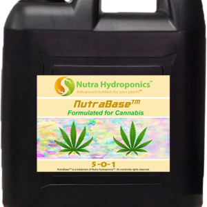 10 liter base