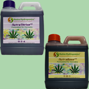 Canna Series